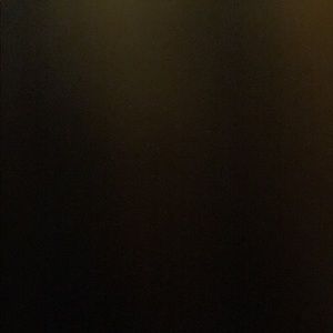 Meet your Posher, Will